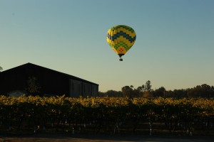 Avalon_NapaValleyVydBalloon_web